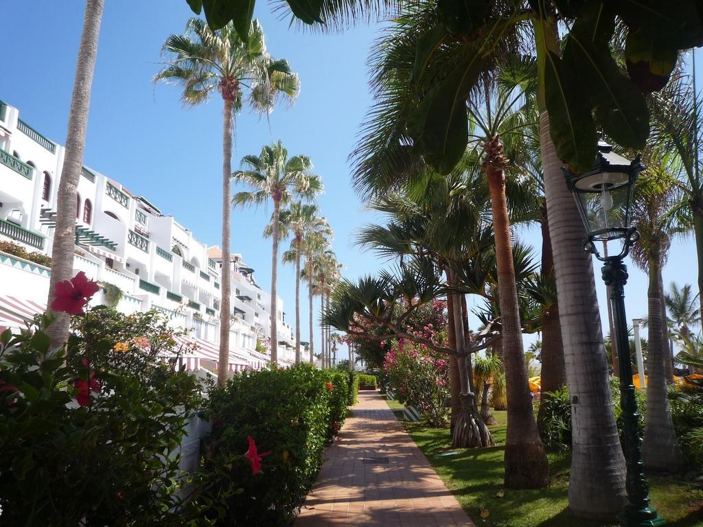4 Santiago Playa Tenerife Estudio Playa de las Americas  Camera foto